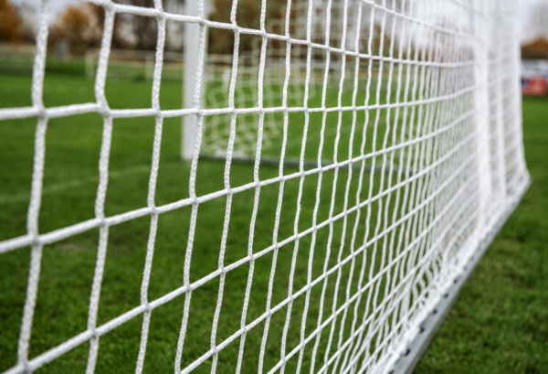 Siatka na bramkę 7,50 x 2,50 m oczko 100 mm linka 3 mm PP bezwęzłowa (2)